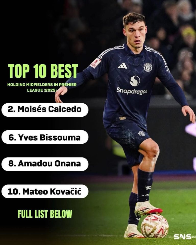 Top 10 best holding midfielders in premier league (2025)